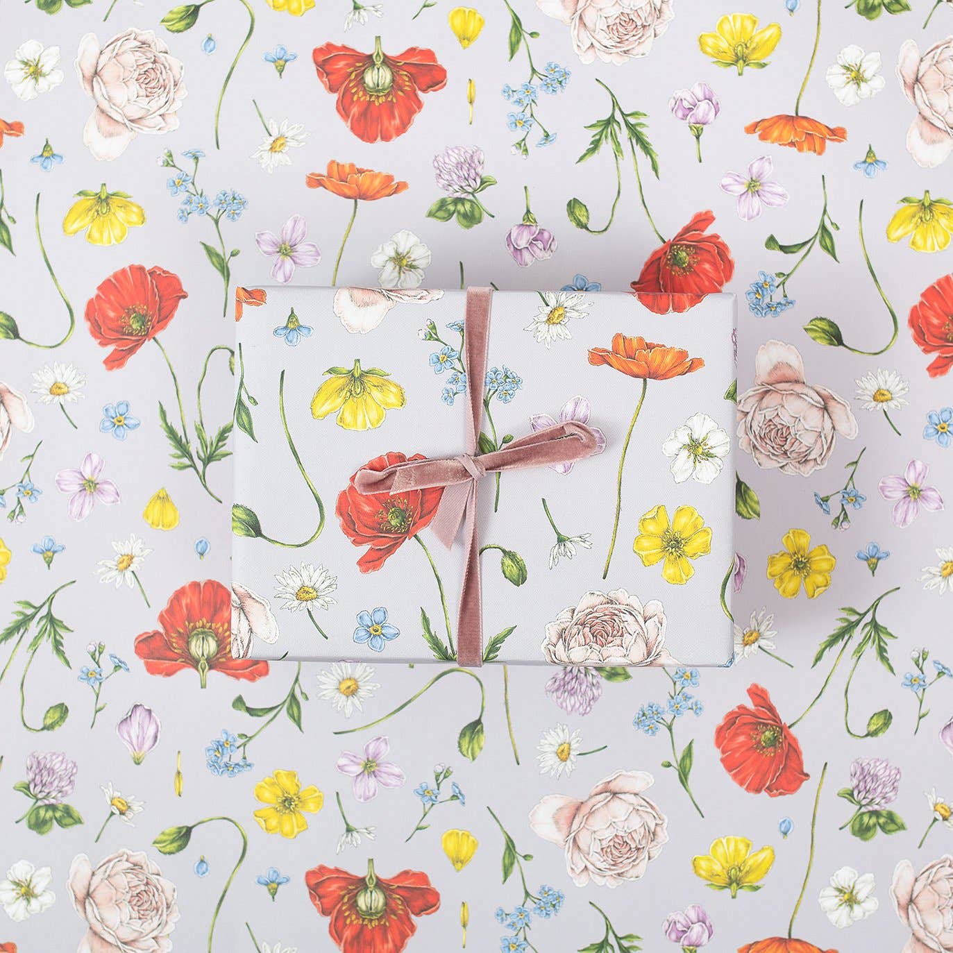 Champ de Fleur - Lilac - Gift Wrap