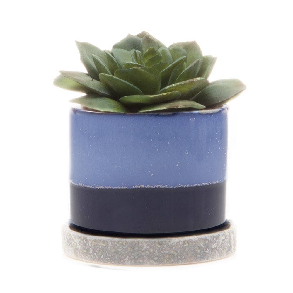 Minute Ceramic Plant Pots Indoor