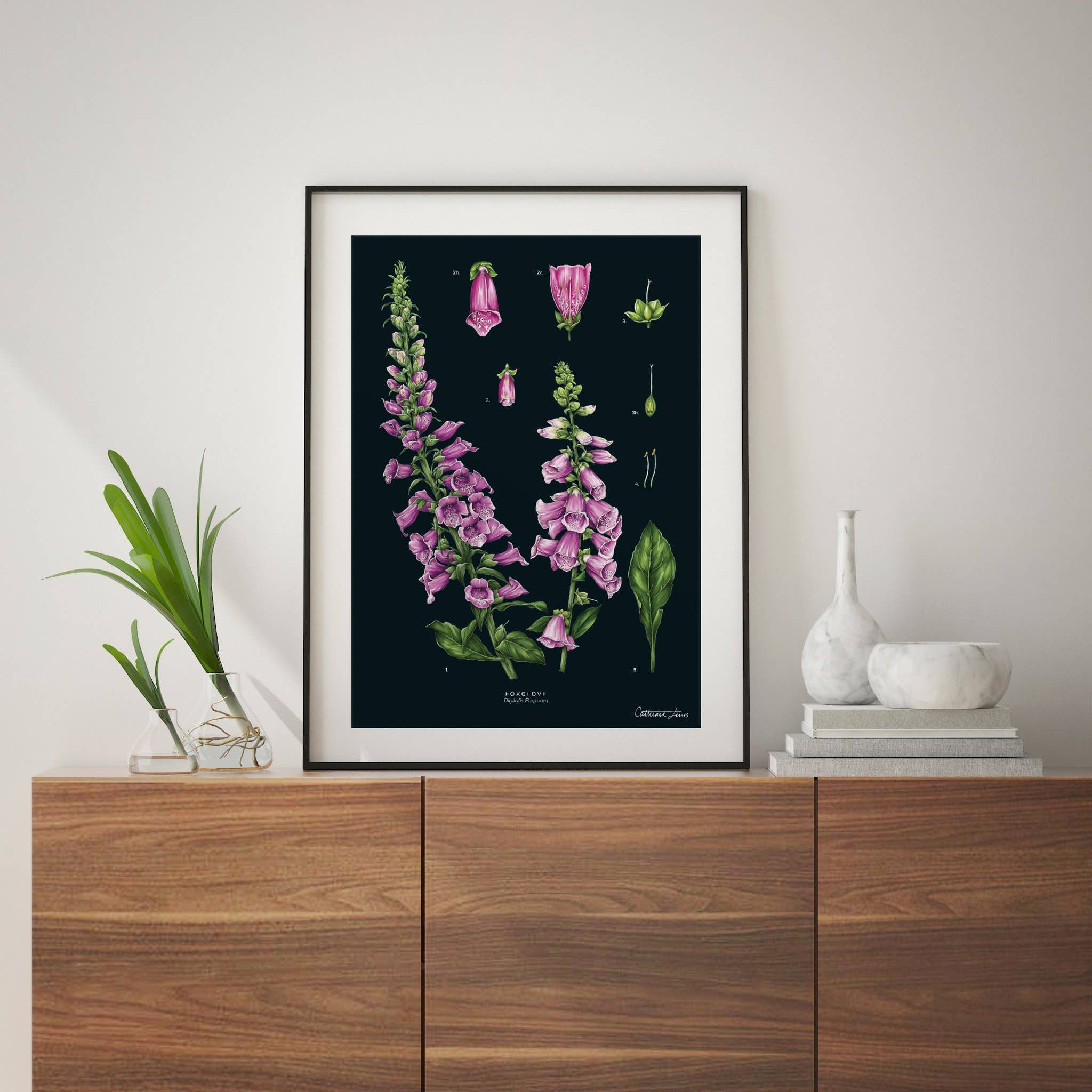 Foxglove Black - Art Print