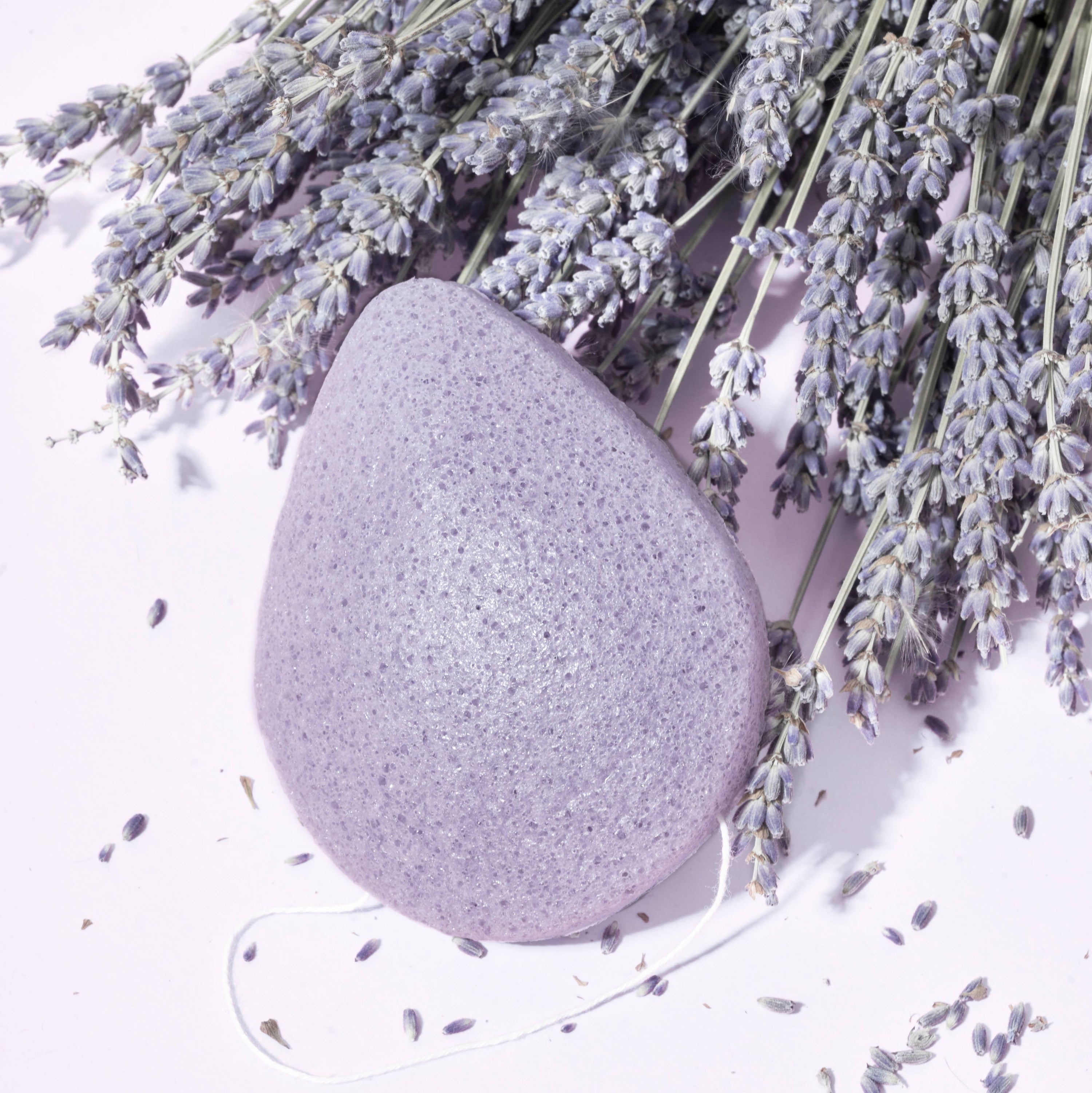 Konjac Facial Sponge - Lavender