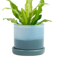 Minute Home Decor Pots and Planters