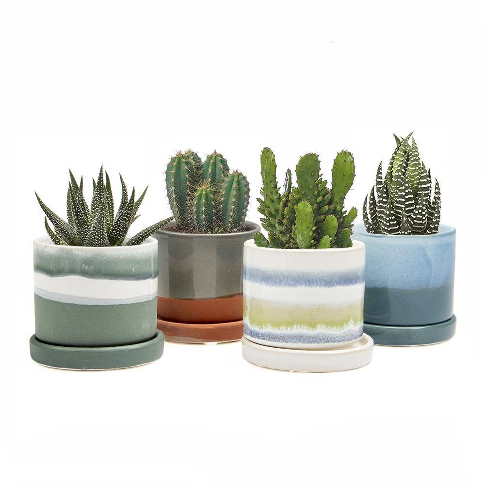 Minute Home Decor Pots and Planters