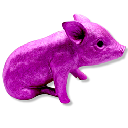 Image of Pink Chrome Piggy Bank Standing - 9.5