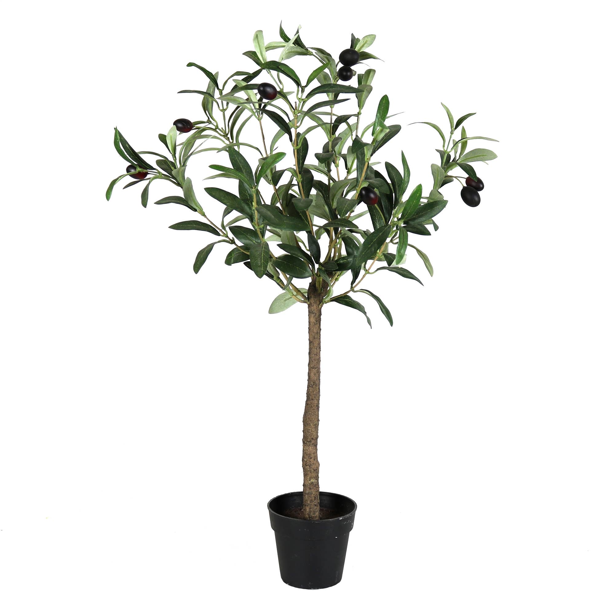 HomArt - Olive Tree, Faux (7798948135139)